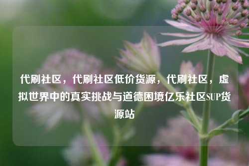 代刷社区	，代刷社区低价货源，代刷社区，虚拟世界中的真实挑战与道德困境亿乐社区SUP货源站  第1张