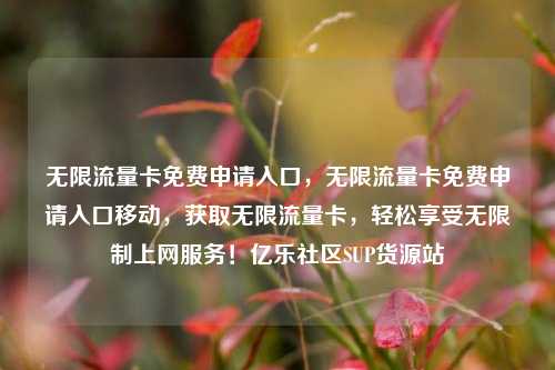 无限流量卡免费申请入口，无限流量卡免费申请入口移动，获取无限流量卡，轻松享受无限制上网服务！亿乐社区SUP货源站  第1张