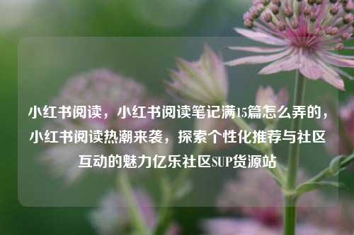 小红书阅读，小红书阅读笔记满15篇怎么弄的	，小红书阅读热潮来袭，探索个性化推荐与社区互动的魅力亿乐社区SUP货源站  第1张