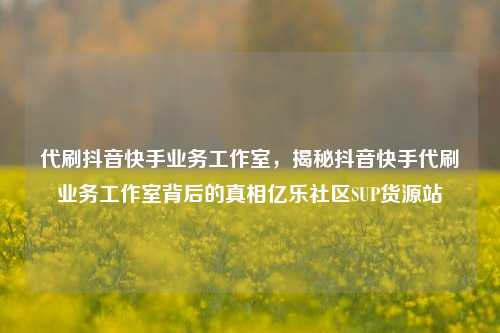 代刷抖音快手业务工作室，揭秘抖音快手代刷业务工作室背后的真相亿乐社区SUP货源站  第1张
