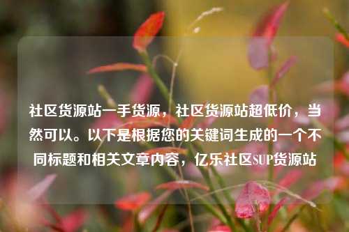 社区货源站一手货源	，社区货源站超低价，当然可以	。以下是根据您的关键词生成的一个不同标题和相关文章内容，亿乐社区SUP货源站  第1张