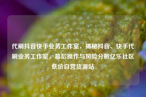 代刷抖音快手业务工作室	，揭秘抖音、快手代刷业务工作室，幕后操作与风险分析亿乐社区低价自营货源站  第1张