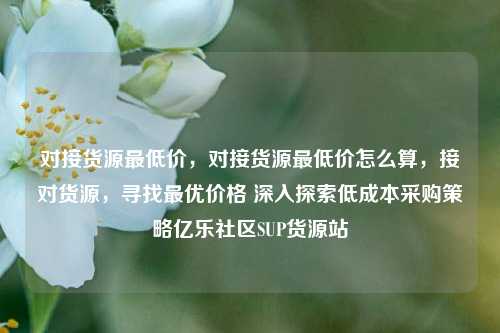 对接货源最低价，对接货源最低价怎么算	，接对货源，寻找最优价格 深入探索低成本采购策略亿乐社区SUP货源站  第1张