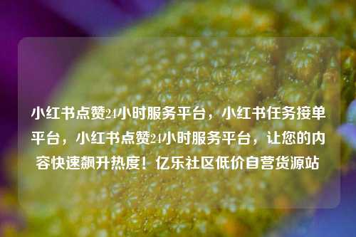 小红书点赞24小时服务平台，小红书任务接单平台，小红书点赞24小时服务平台，让您的内容快速飙升热度！亿乐社区低价自营货源站  第1张
