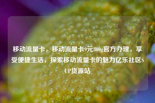 移动流量卡，移动流量卡9元300g官方办理	，享受便捷生活，探索移动流量卡的魅力亿乐社区SUP货源站  第1张