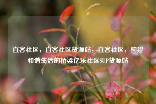 直客社区，直客社区货源站，直客社区，构建和谐生活的桥梁亿乐社区SUP货源站  第1张