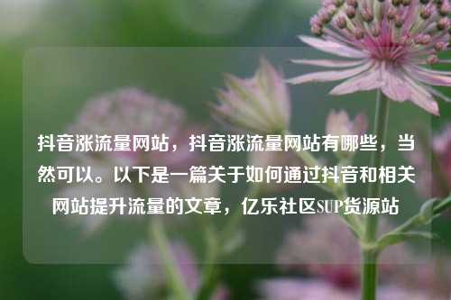 抖音涨流量网站，抖音涨流量网站有哪些，当然可以。以下是一篇关于如何通过抖音和相关网站提升流量的文章	，亿乐社区SUP货源站  第1张