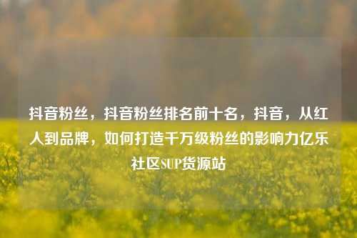 抖音粉丝	，抖音粉丝排名前十名，抖音，从红人到品牌	，如何打造千万级粉丝的影响力亿乐社区SUP货源站  第1张