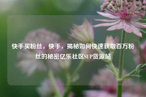 快手买粉丝，快手，揭秘如何快速获取百万粉丝的秘密亿乐社区SUP货源站  第1张