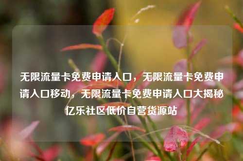 无限流量卡免费申请入口，无限流量卡免费申请入口移动，无限流量卡免费申请入口大揭秘亿乐社区低价自营货源站  第1张
