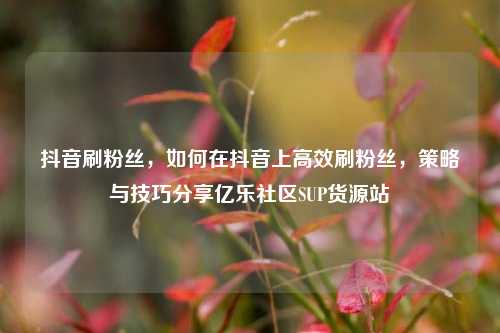 抖音刷粉丝，如何在抖音上高效刷粉丝	，策略与技巧分享亿乐社区SUP货源站  第1张