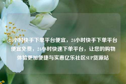 24小时快手下单平台便宜，24小时快手下单平台便宜免费	，24小时快速下单平台，让您的购物体验更加便捷与实惠亿乐社区SUP货源站  第1张