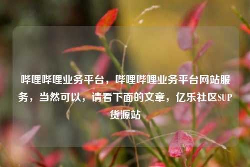 哔哩哔哩业务平台，哔哩哔哩业务平台网站服务，当然可以	，请看下面的文章，亿乐社区SUP货源站  第1张