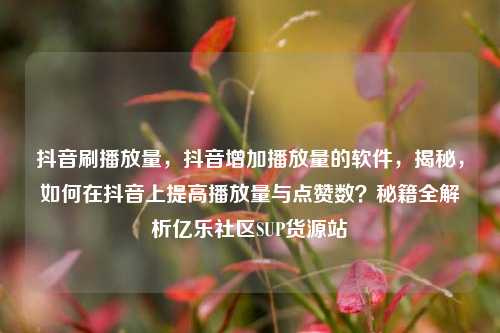 抖音刷播放量	，抖音增加播放量的软件，揭秘，如何在抖音上提高播放量与点赞数？秘籍全解析亿乐社区SUP货源站  第1张