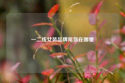一二线女装品牌尾货在哪里  第1张