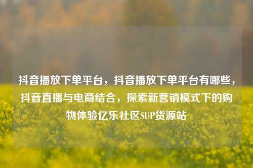 抖音播放下单平台	，抖音播放下单平台有哪些，抖音直播与电商结合，探索新营销模式下的购物体验亿乐社区SUP货源站  第1张