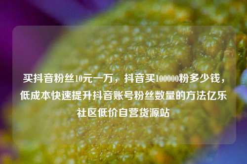 买抖音粉丝10元一万	，抖音买100000粉多少钱，低成本快速提升抖音账号粉丝数量的方法亿乐社区低价自营货源站  第1张