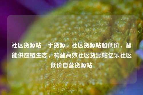 社区货源站一手货源，社区货源站超低价	，智能供应链生态，构建高效社区货源站亿乐社区低价自营货源站  第1张