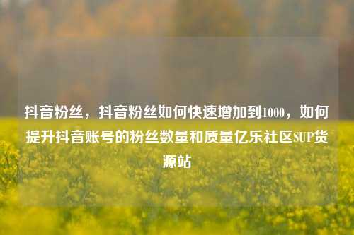 抖音粉丝，抖音粉丝如何快速增加到1000	，如何提升抖音账号的粉丝数量和质量亿乐社区SUP货源站  第1张