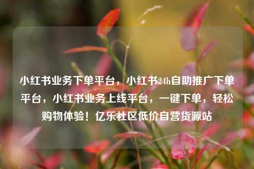 小红书业务下单平台	，小红书24h自助推广下单平台，小红书业务上线平台，一键下单	，轻松购物体验！亿乐社区低价自营货源站  第1张