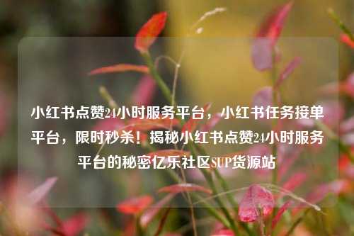 小红书点赞24小时服务平台，小红书任务接单平台，限时秒杀！揭秘小红书点赞24小时服务平台的秘密亿乐社区SUP货源站  第1张