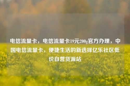 电信流量卡，电信流量卡19元200g官方办理，中国电信流量卡，便捷生活的新选择亿乐社区低价自营货源站  第1张