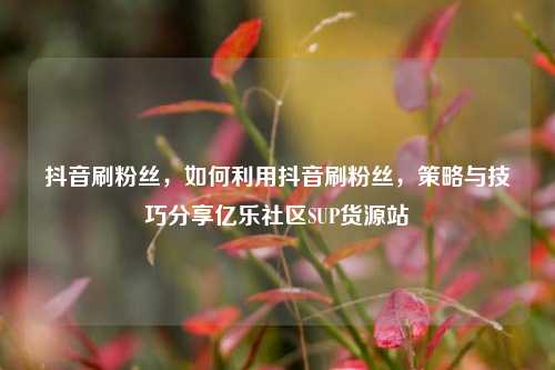 抖音刷粉丝	，如何利用抖音刷粉丝，策略与技巧分享亿乐社区SUP货源站  第1张