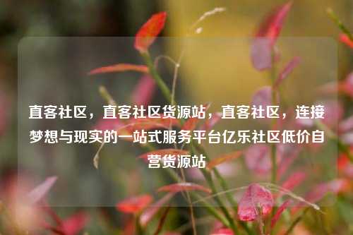 直客社区，直客社区货源站，直客社区	，连接梦想与现实的一站式服务平台亿乐社区低价自营货源站  第1张
