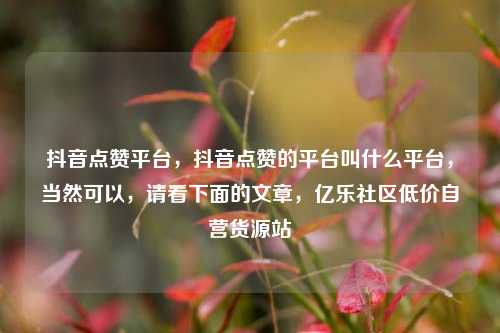 抖音点赞平台，抖音点赞的平台叫什么平台，当然可以	，请看下面的文章，亿乐社区低价自营货源站  第1张