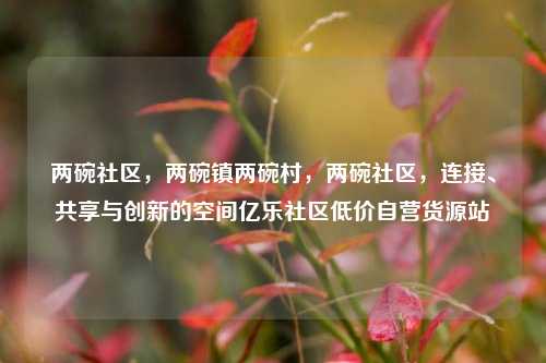 两碗社区，两碗镇两碗村，两碗社区，连接	、共享与创新的空间亿乐社区低价自营货源站  第1张