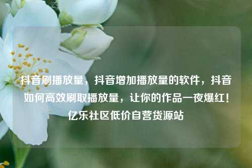 抖音刷播放量，抖音增加播放量的软件	，抖音如何高效刷取播放量，让你的作品一夜爆红！亿乐社区低价自营货源站  第1张