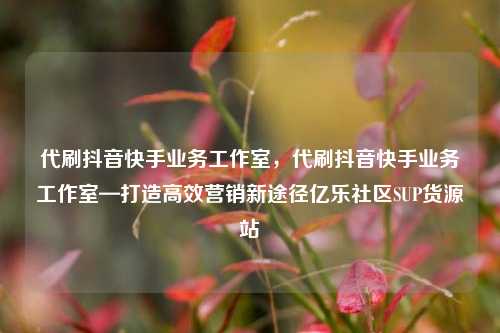 代刷抖音快手业务工作室，代刷抖音快手业务工作室—打造高效营销新途径亿乐社区SUP货源站  第1张