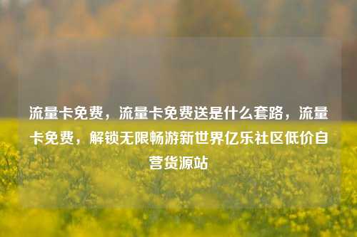 流量卡免费，流量卡免费送是什么套路，流量卡免费	，解锁无限畅游新世界亿乐社区低价自营货源站  第1张