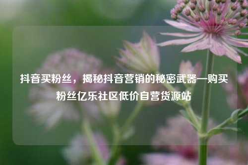 抖音买粉丝	，揭秘抖音营销的秘密武器—购买粉丝亿乐社区低价自营货源站  第1张
